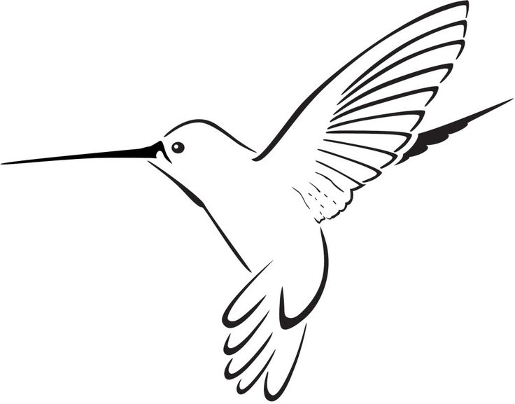 Hummingbird clipart free clipart images tattoo