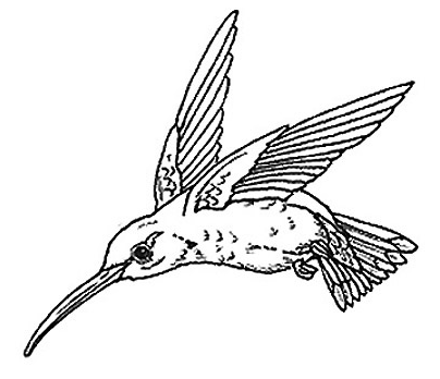 Hummingbird clipart image clip art a silhouette