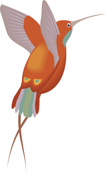 Hummingbird free to use cliparts
