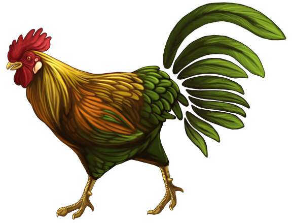 Kwan kwest rooster rooster clipart