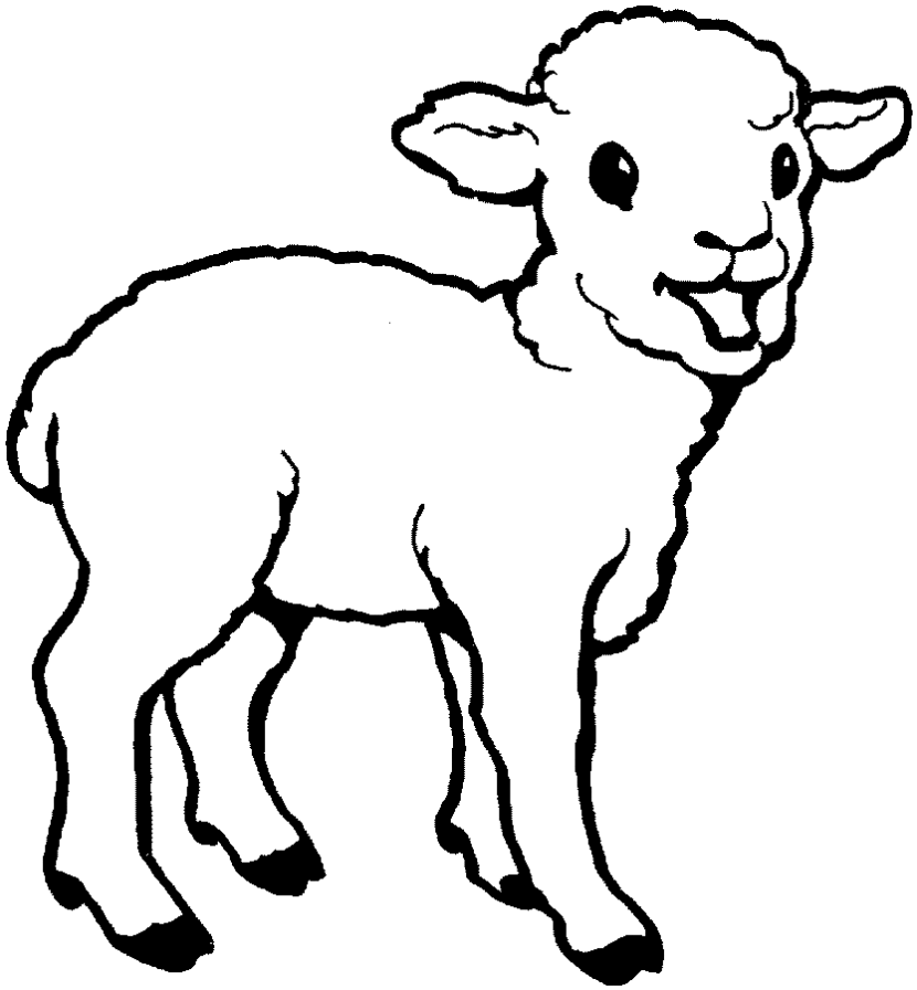 Lamb clipart 2