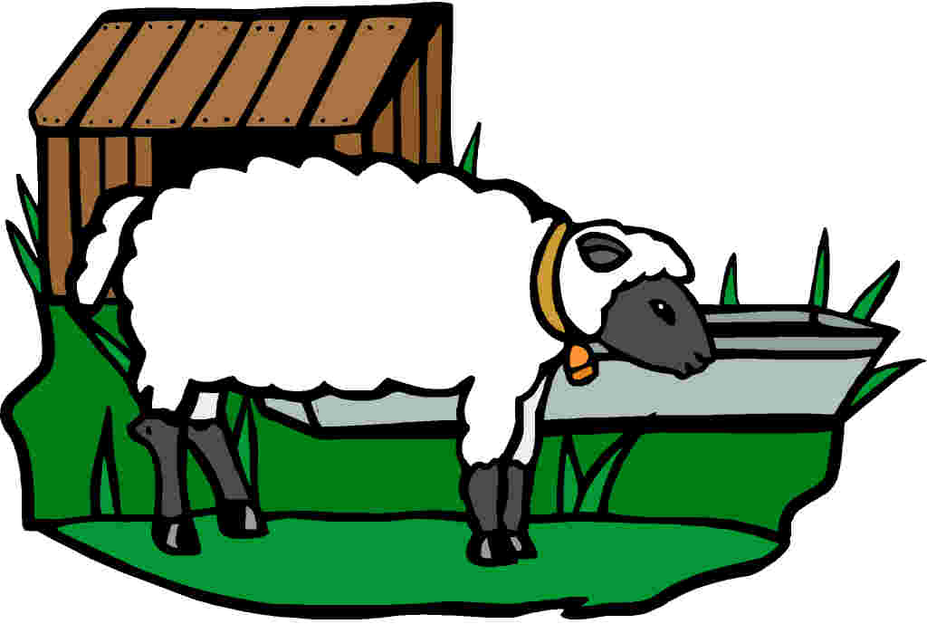 Lamb clipart 5