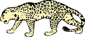 New free cheetah clipart search for for