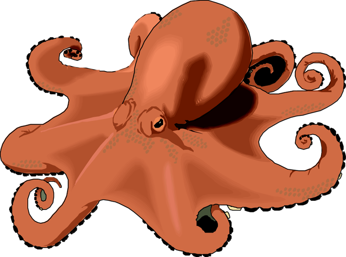 Octopus clipart free images 6