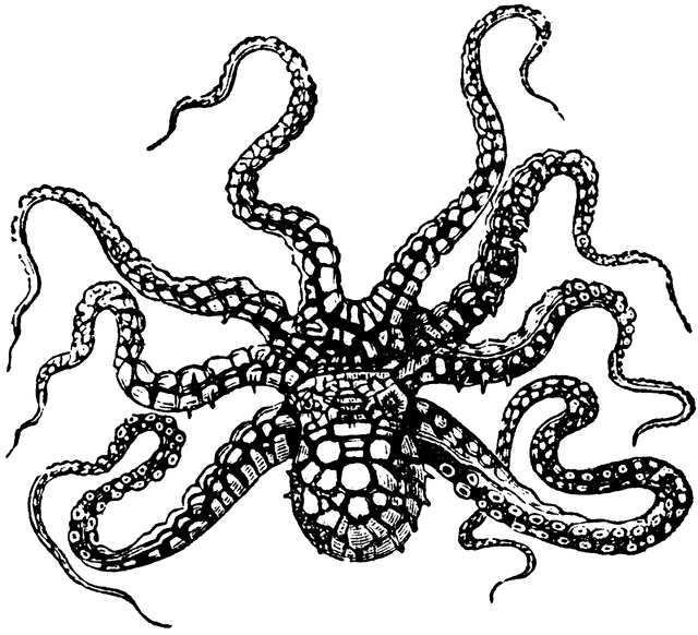 Octopus silhouette octopus clip art images stock photos 2