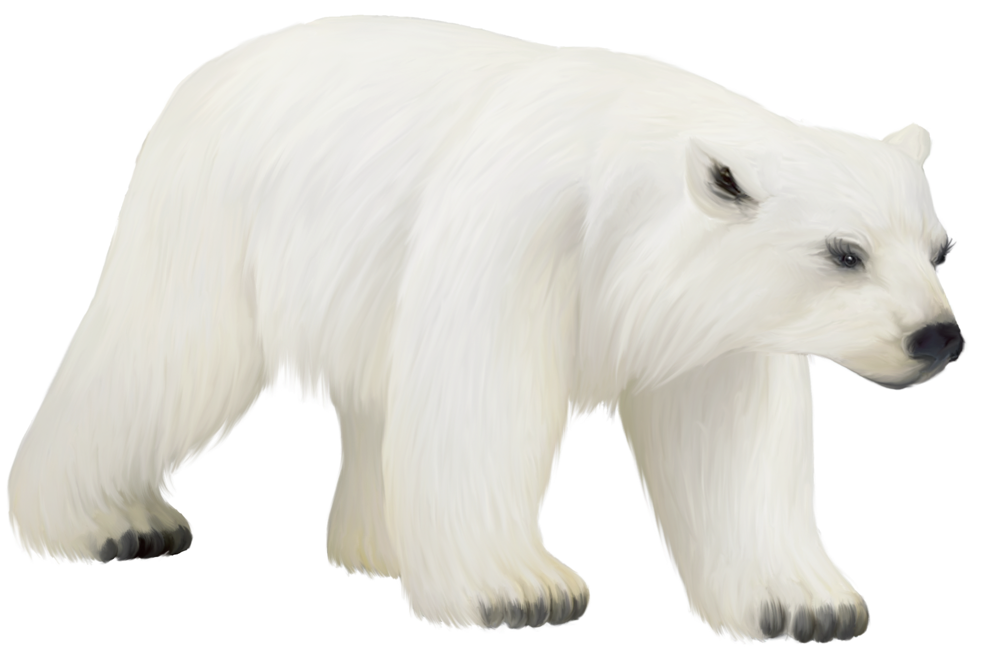 Polar bear bear clip art vector bear graphics image 2