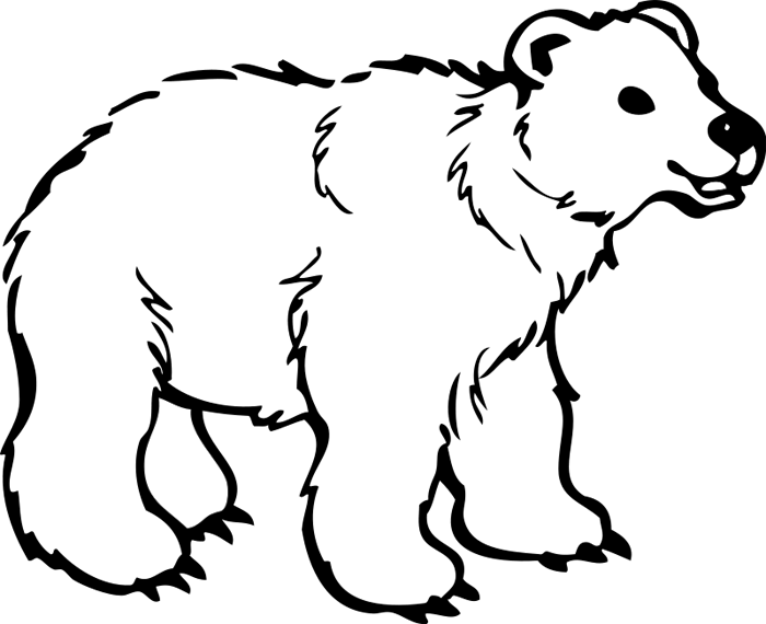 Polar bear clipart 3