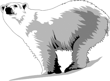 Polar bear polar animals clipart clipart kid 2