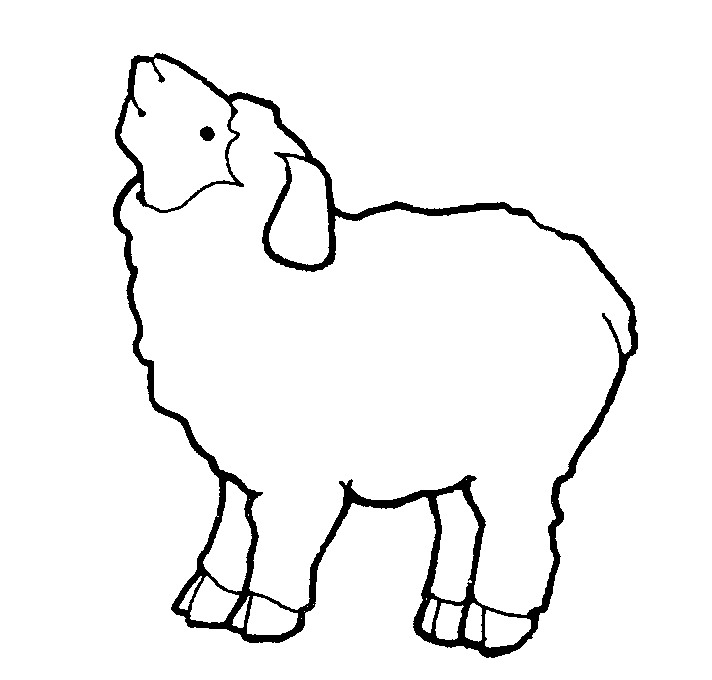 Sheep lamb clipart 3 image