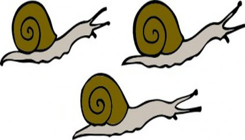Snail clip art free vector image