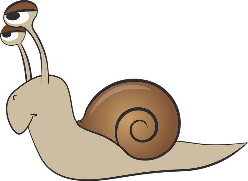 Snail free to use clipart