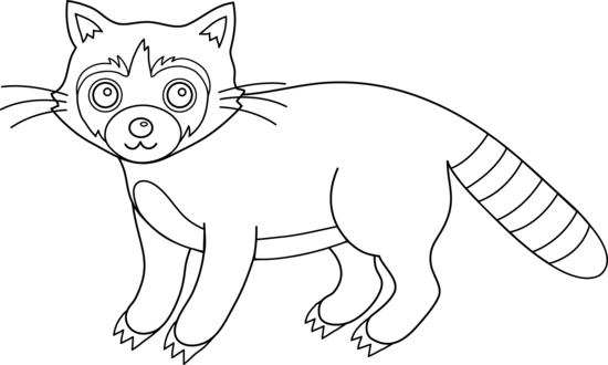 Colorable raccoon free clip art 2