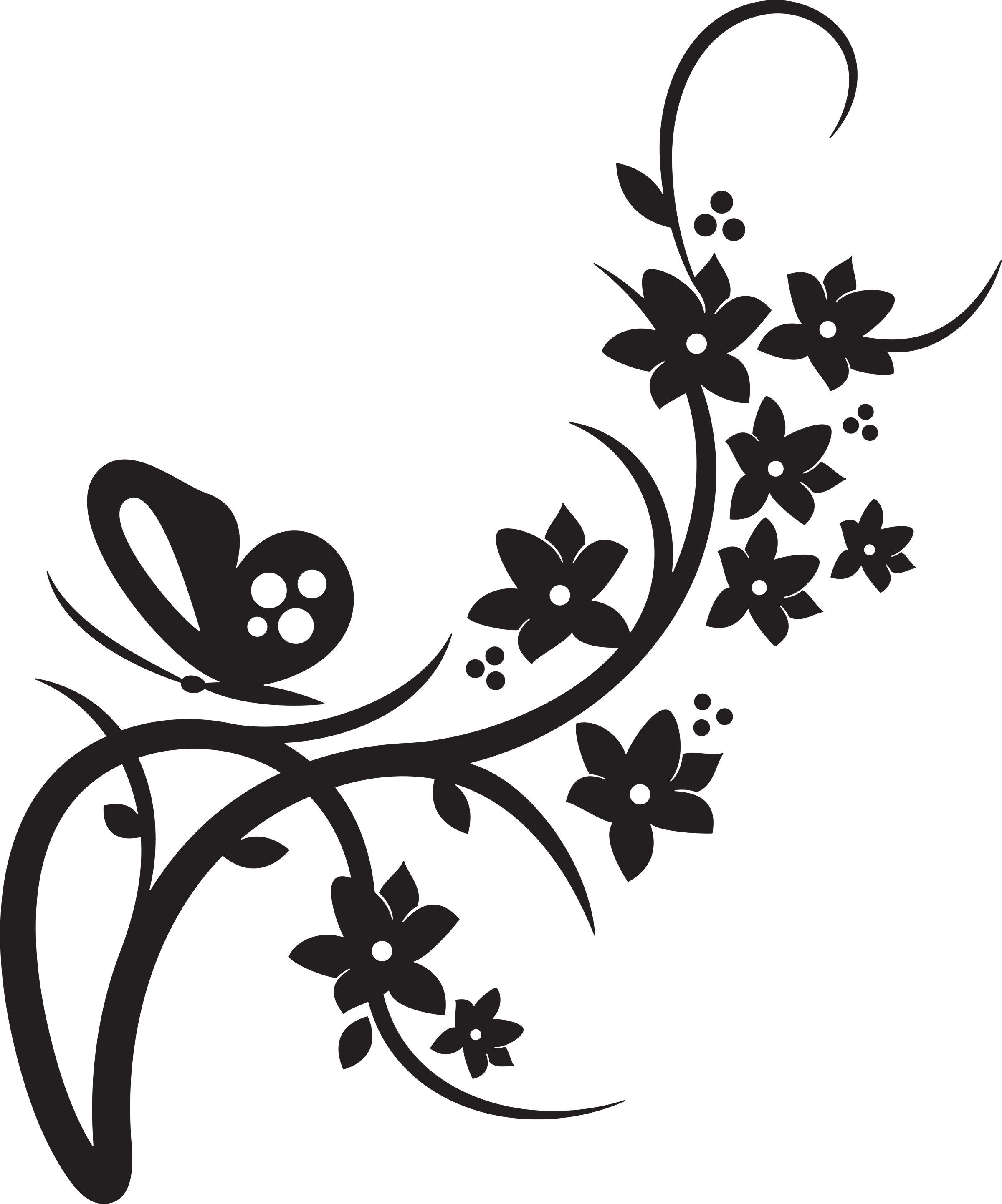 Floral clipart flowers and butterflies border free