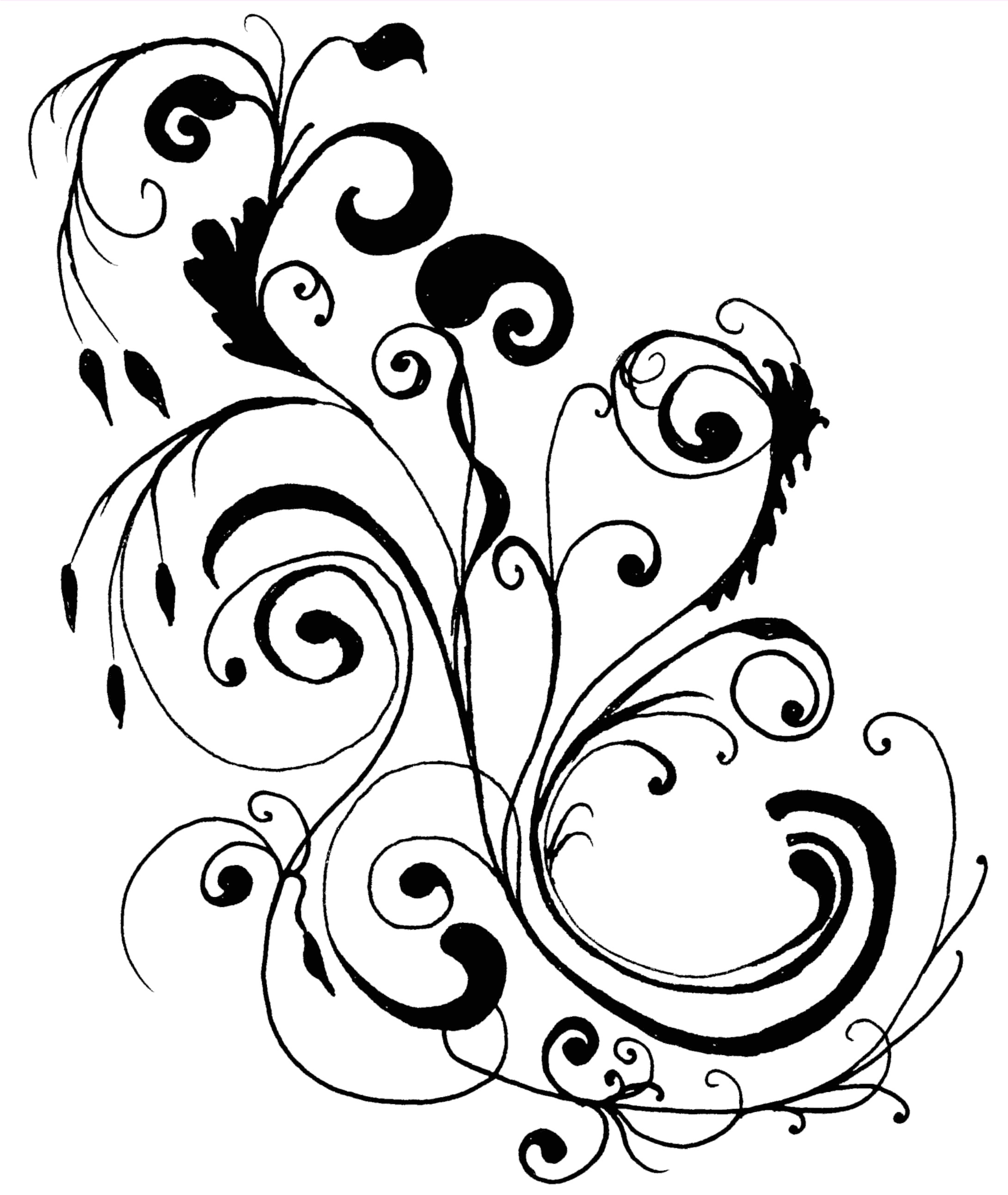 Floral flower clipart free images 2