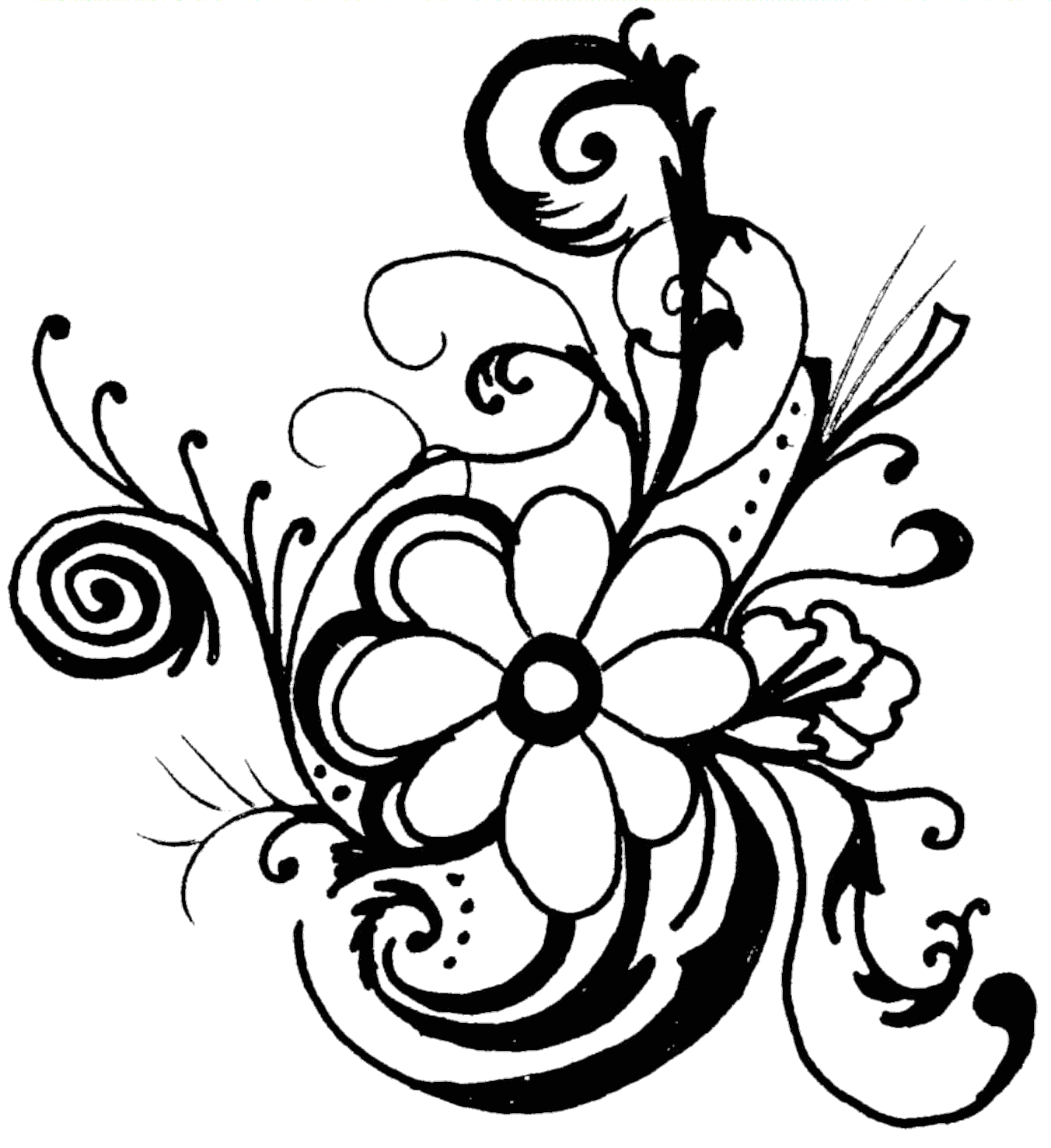 Floral flower clipart free images