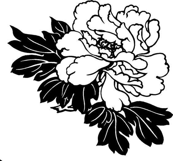 Floral hawaiian flower clipart black and white clip art