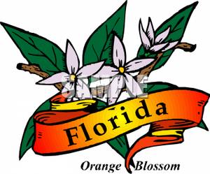 Florida clipart free clipart images 3