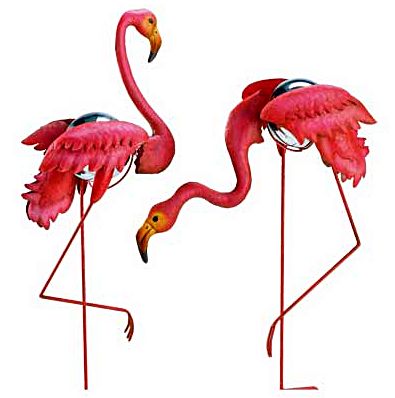 Florida flamingo clipart