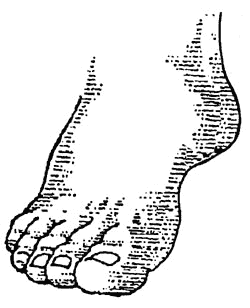 Foot feet clip art free clipart image 2