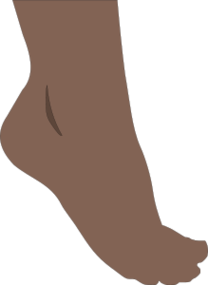 Foot feet clip art free clipart to use resource