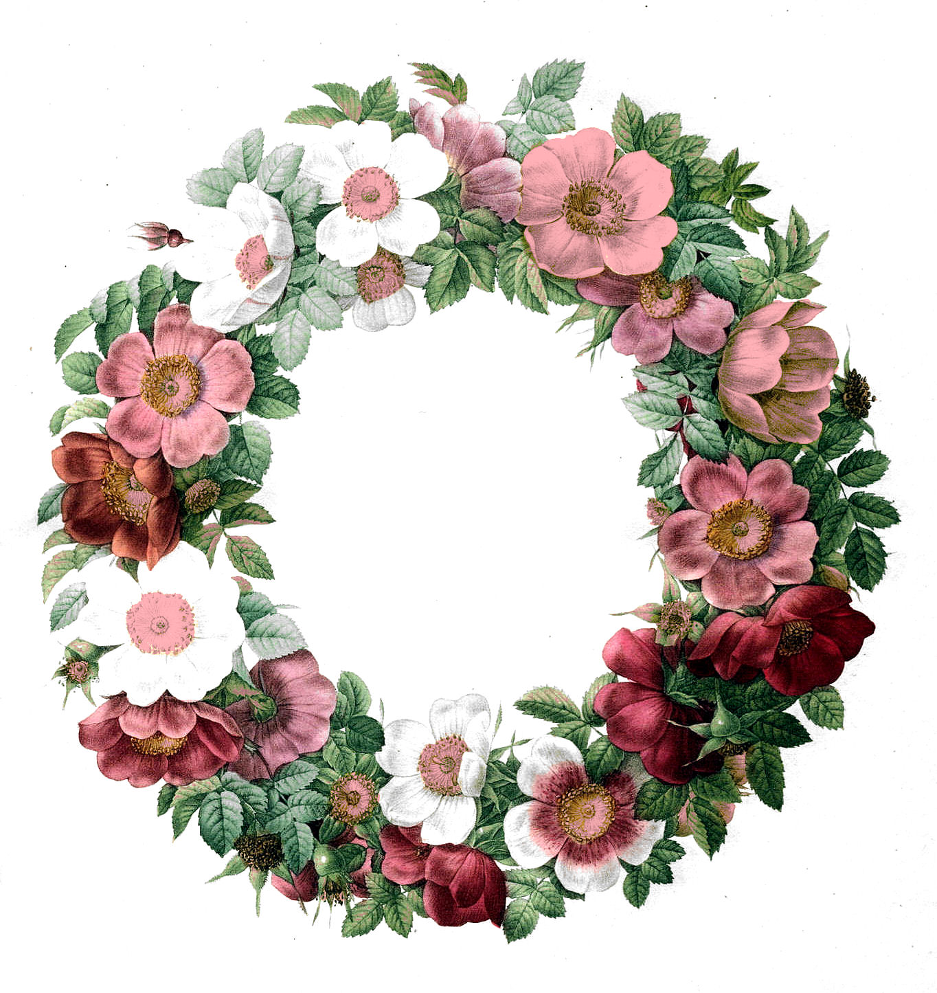 Free vintage clip art rose wreath the graphics fairy