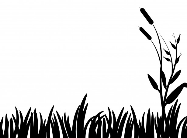 Grass silhouette clipart free stock photo public domain pictures 2