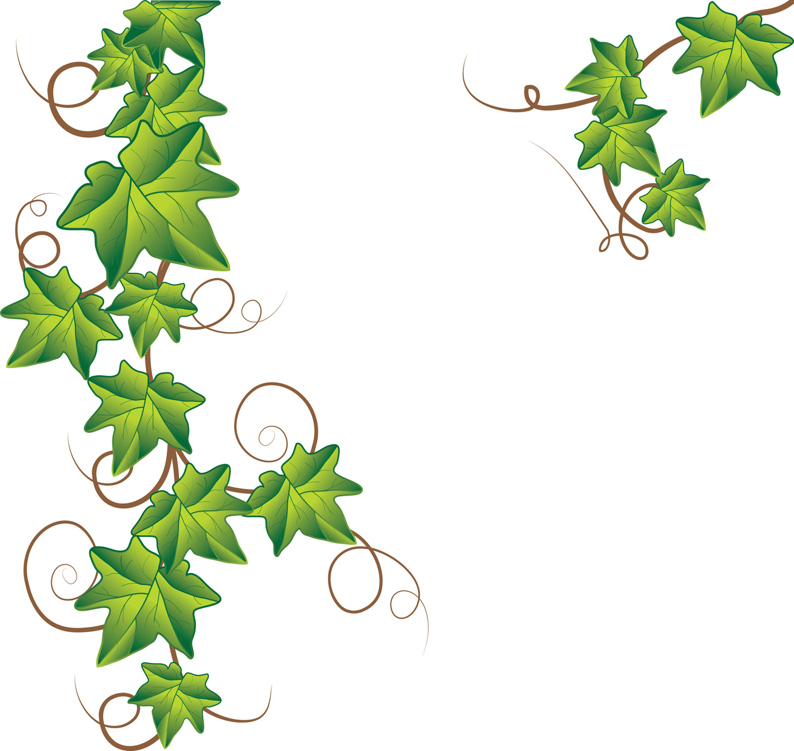 Green vines clip art free clipart images 2