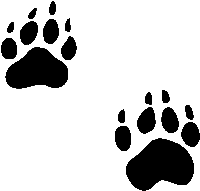 Grizzly bear paw print clipart free images 5