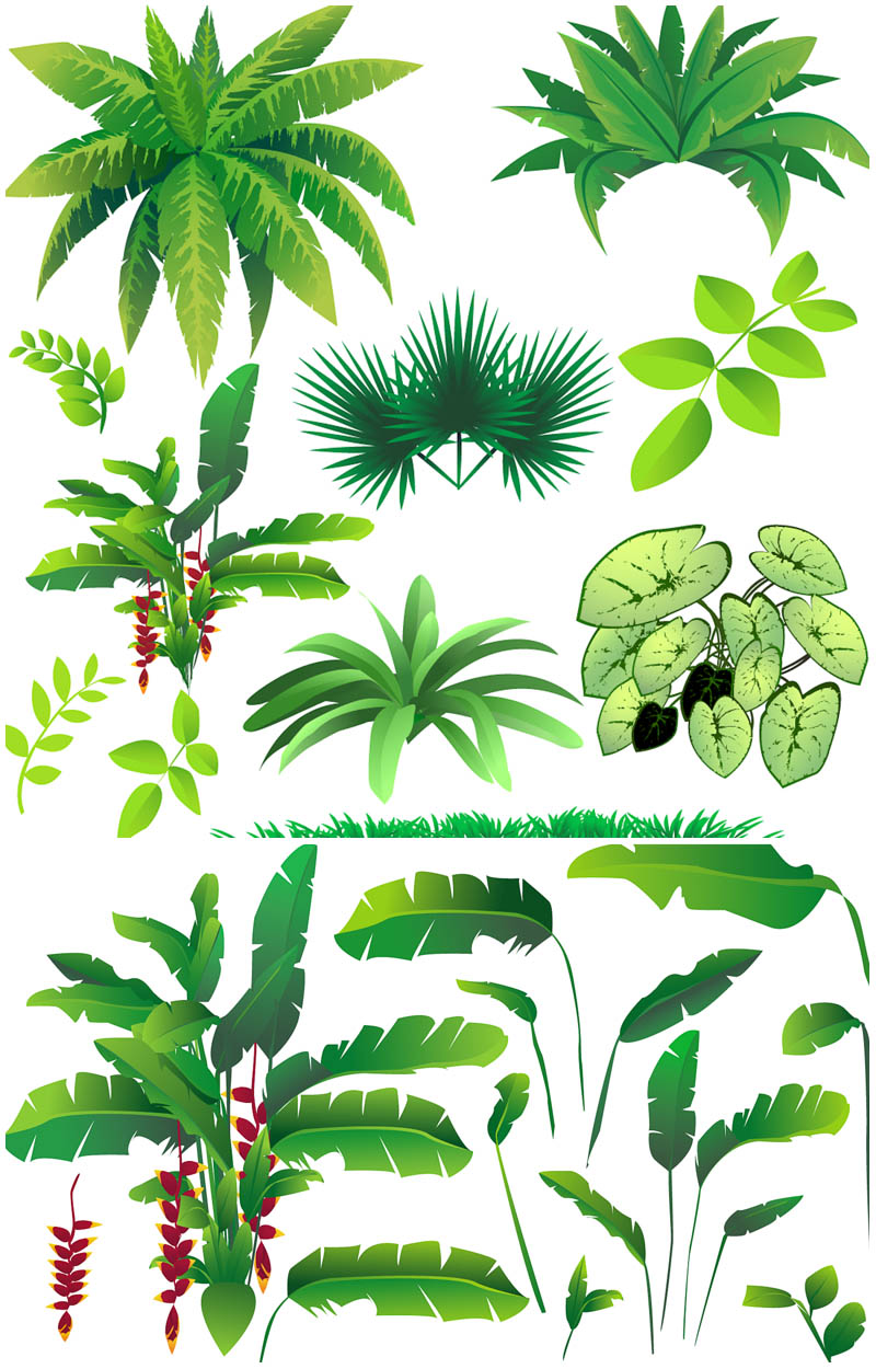 Jungle plants clipart