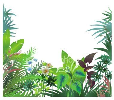 Jungle trees clip art tropical rainforest cartoon border
