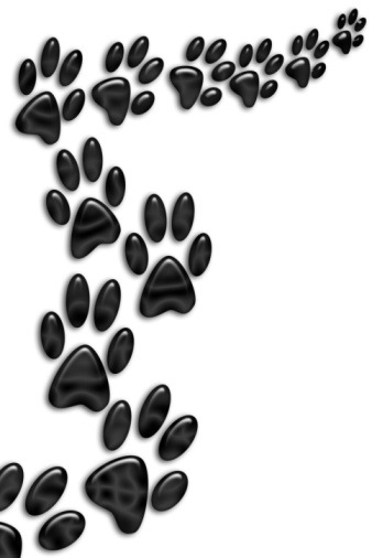 Paw print tattoos on dog paw prints scroll clipart 3 3