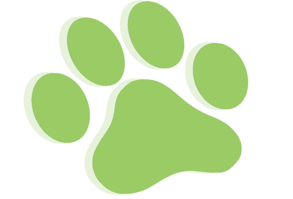 Paw print wildcats on dog paws paw tattoos and clip art image 5