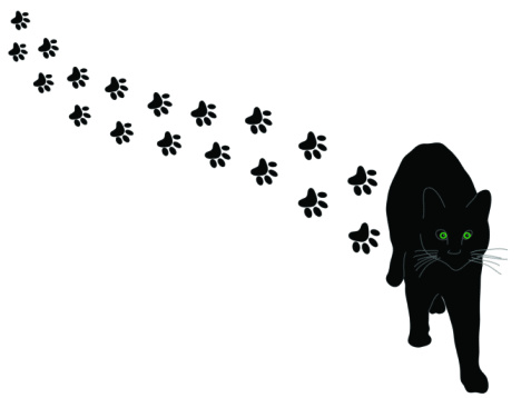 Paw print wildcats on dog paws paw tattoos and clip art image 6