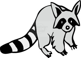 Raccoon clip art pictures free clipart images 3