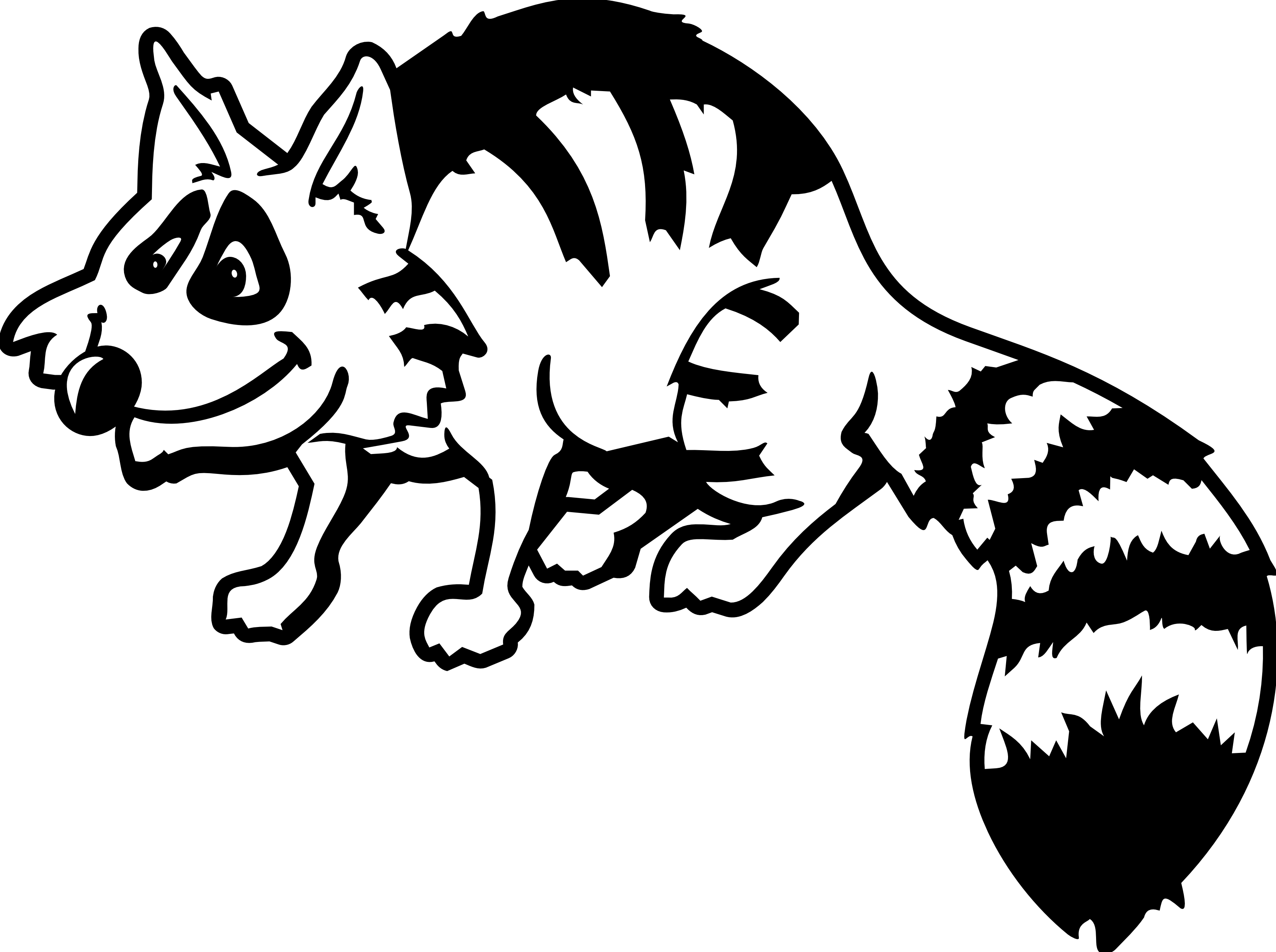 Raccoon clipart black and white free images