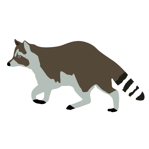 Raccoon clipart cliparts and others art inspiration 3