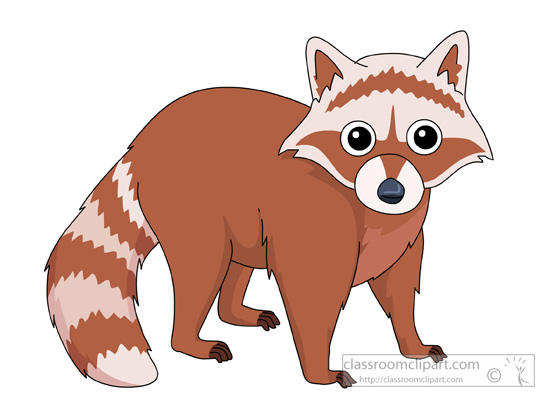 Search results for raccoon pictures graphics cliparts