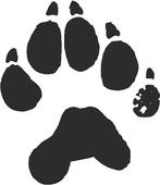 Paw print wildcats on dog paws paw tattoos and clip art image – Clipartix