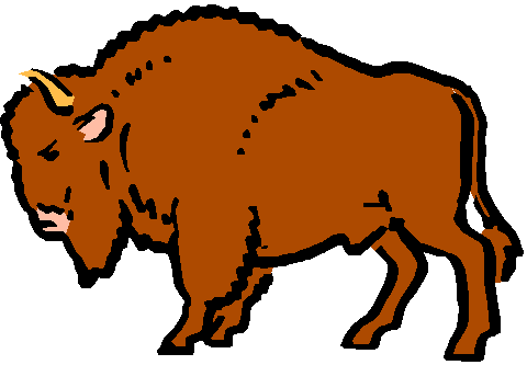 Buffalo clip art clipart