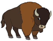 Buffalo clip art free clipart images