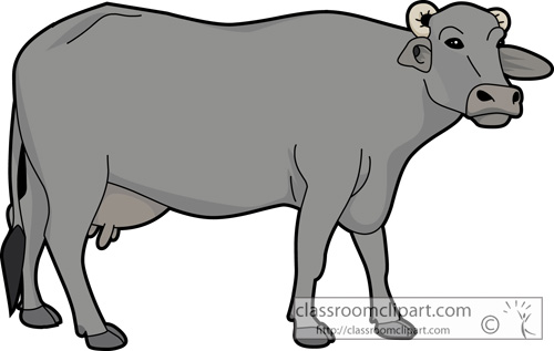 Buffalo clipart free images