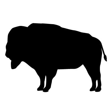 Buffalo silhouette clipart kid