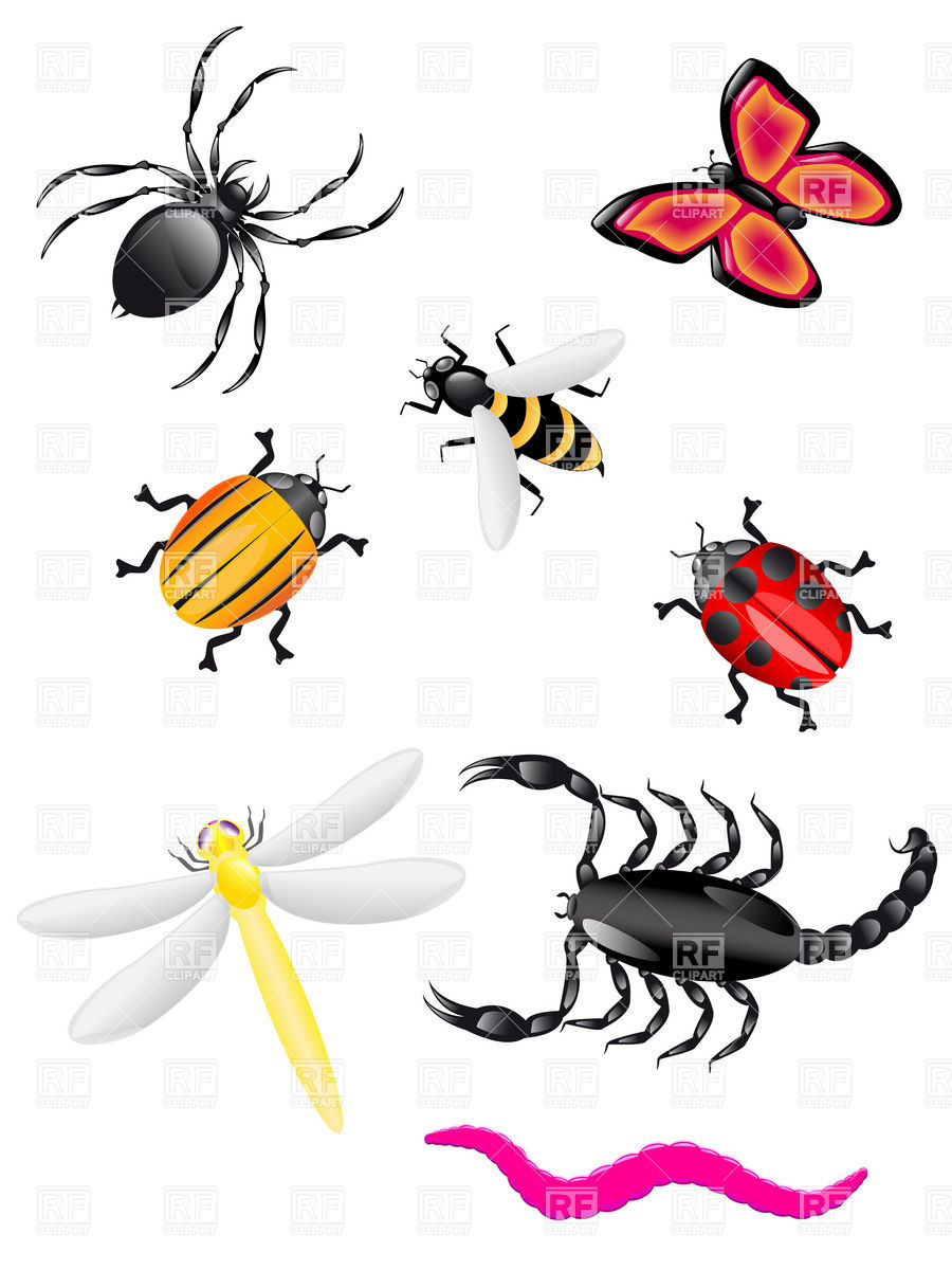 Bugs Clipart Beef   Bugs And Insects Clipart Kid 3 