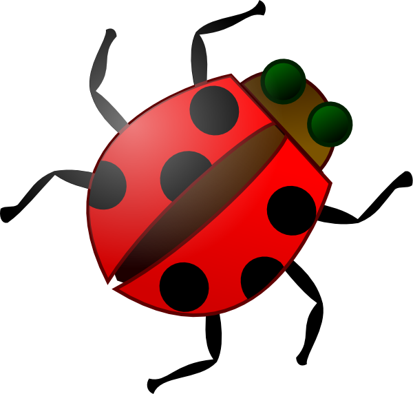Cartoon insect clipart kid