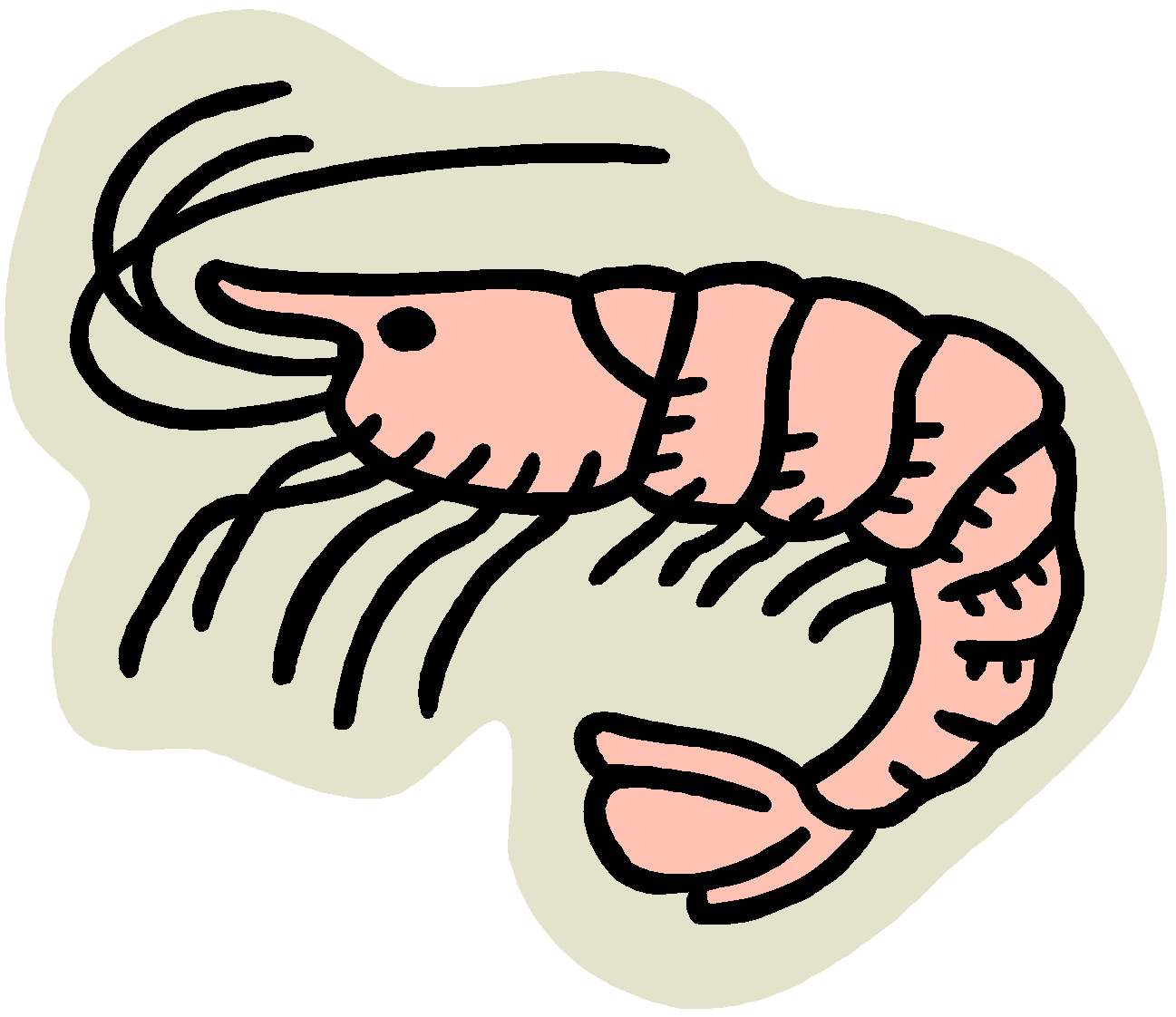 Cooked shrimp clipart free images