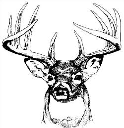 Free hunting clipart