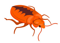 Free insect clipart clip art pictures graphics illustrations 6