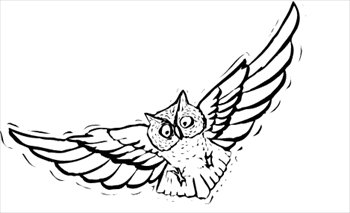 Free owl clipart graphics images and photos
