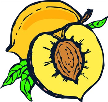 Free peaches clipart graphics images and photos