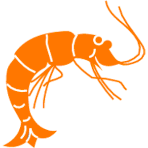 Free shrimp clipart image